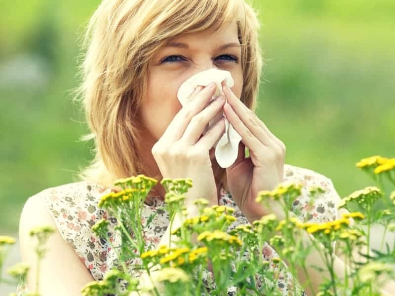 Алергія. Причини появи та способи її лікування
